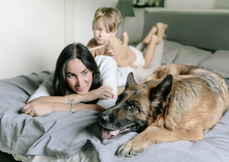 Family protection dog training